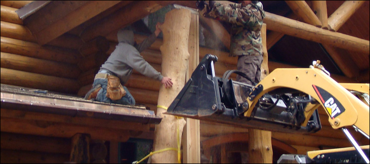 Log Home Log Replacement  Tazewell County, Virginia