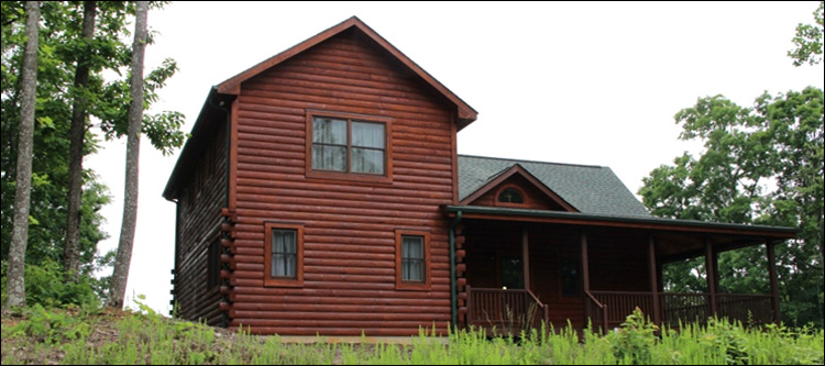 Professional Log Home Borate Application  Bluefield, Virginia